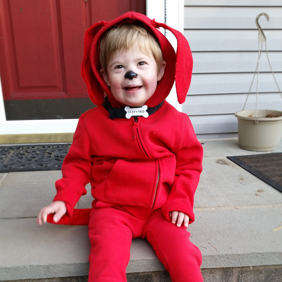 Clifford big sales red dog costume