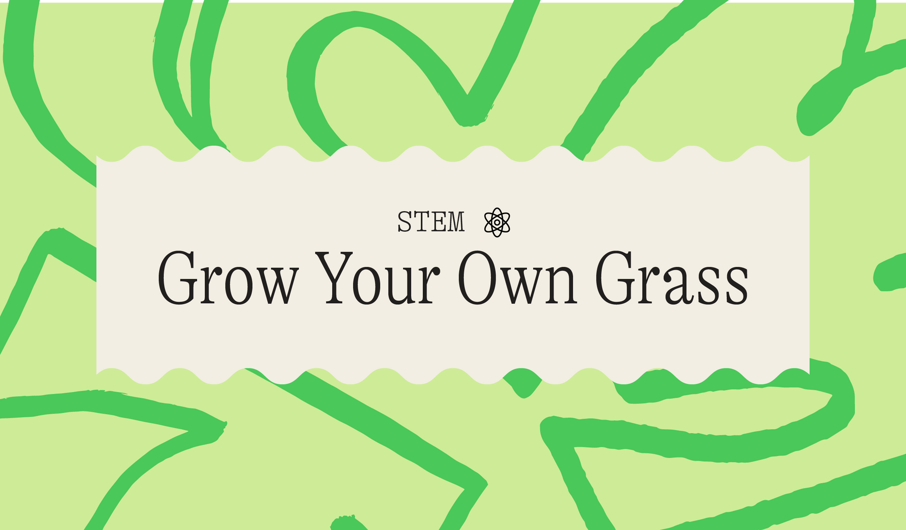 Primary Color Camp: Grow Your Own Grass
