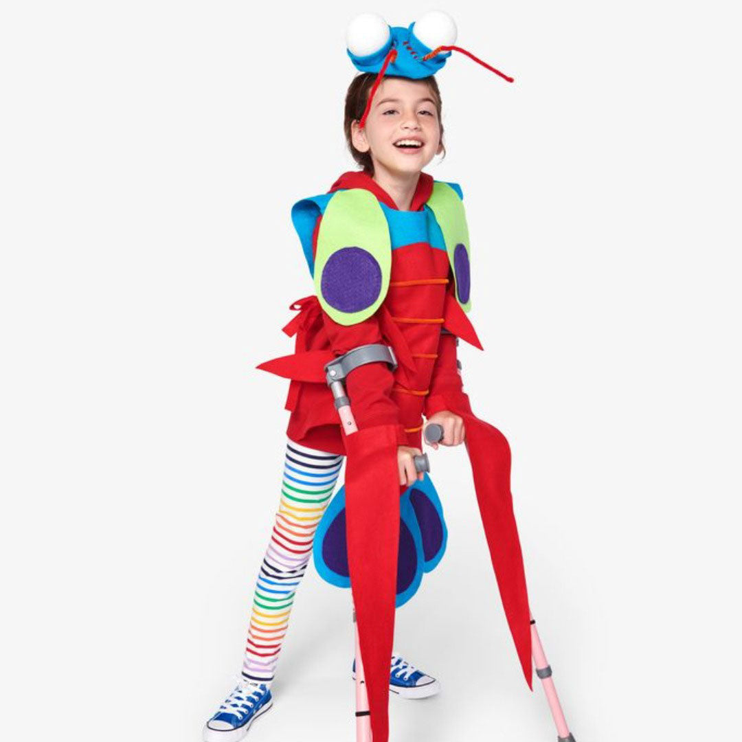 Mantis Shrimp