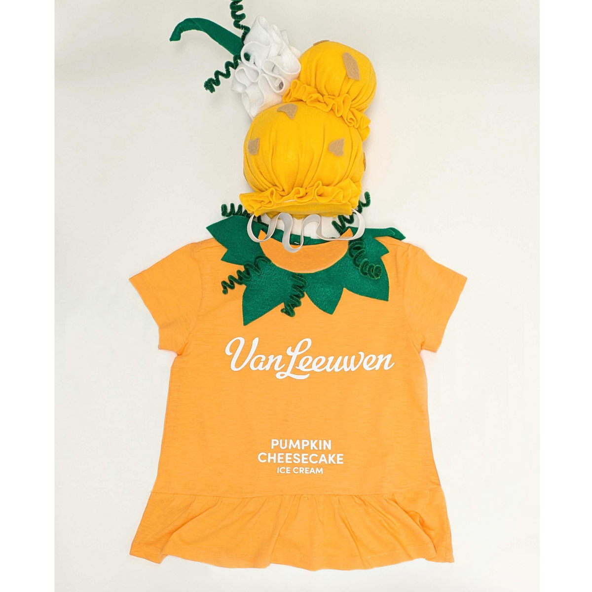 Van Leeuwen Pumpkin Cheesecake Ice Cream Pint