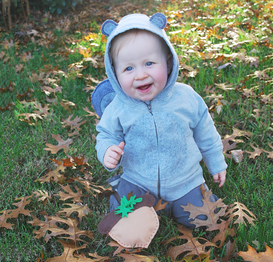 Squirrel (Baby)