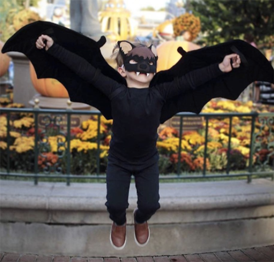 Bat (Kid): A child wearing a black outfit with handmade bat wings and a black mask with ears and fangs