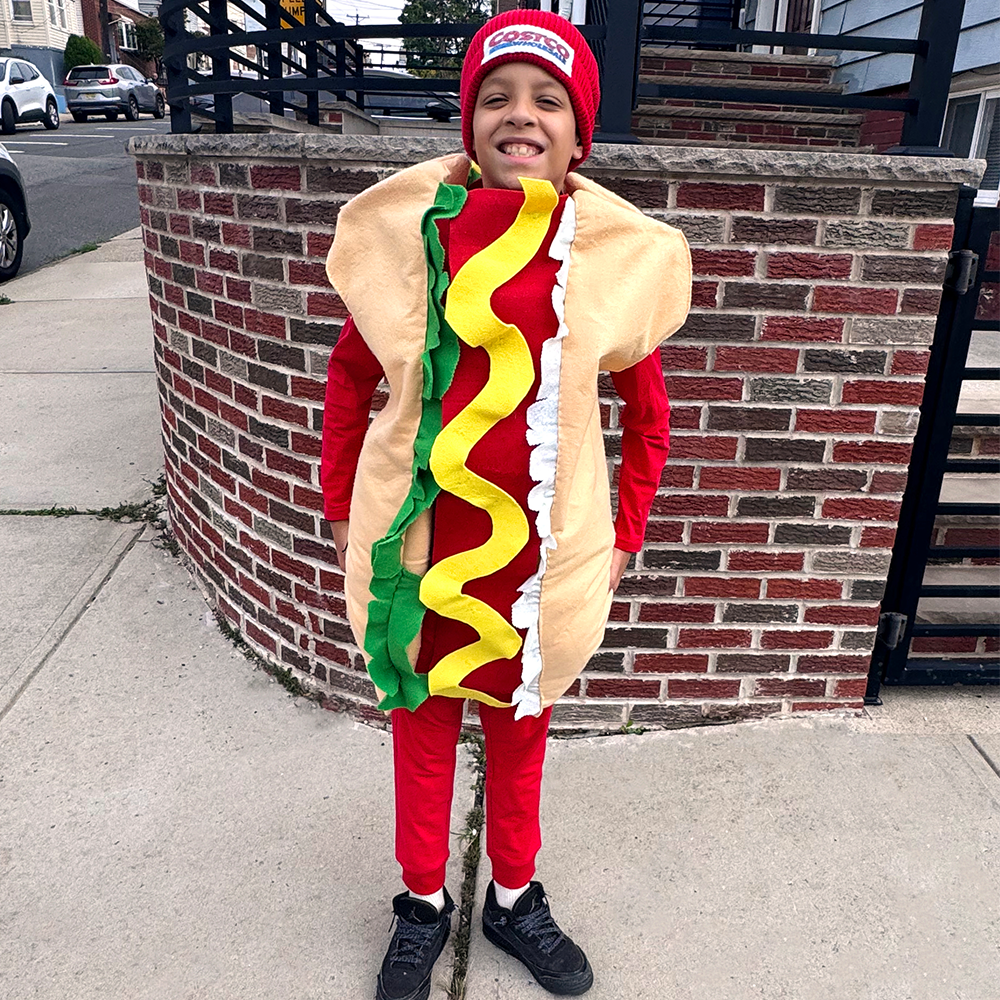 Costco Hot Dog
