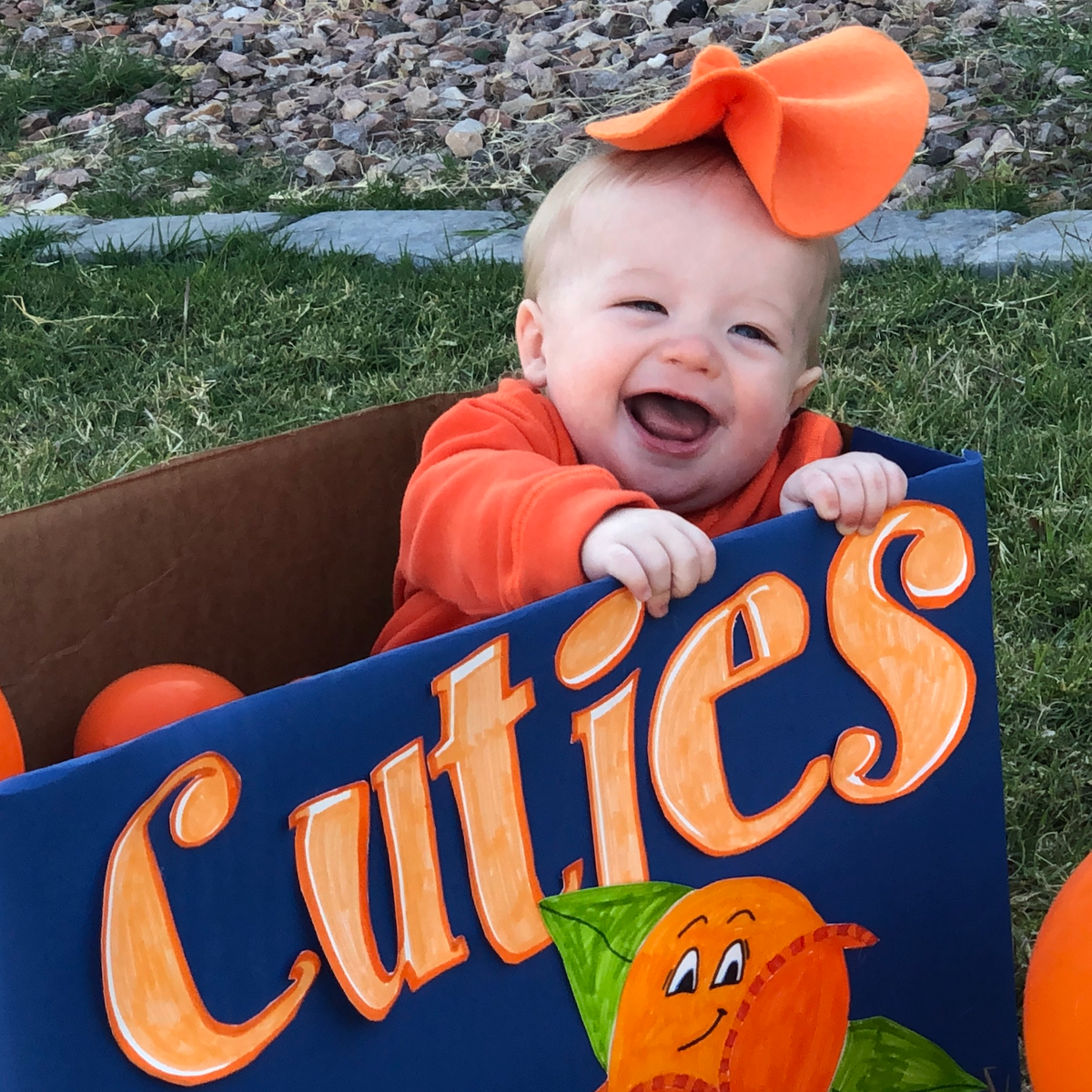 Cuties Clementine