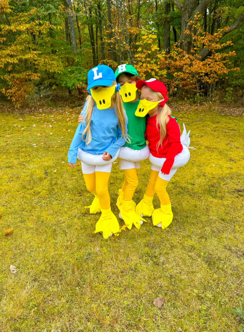 Huey Dewey & Louie
