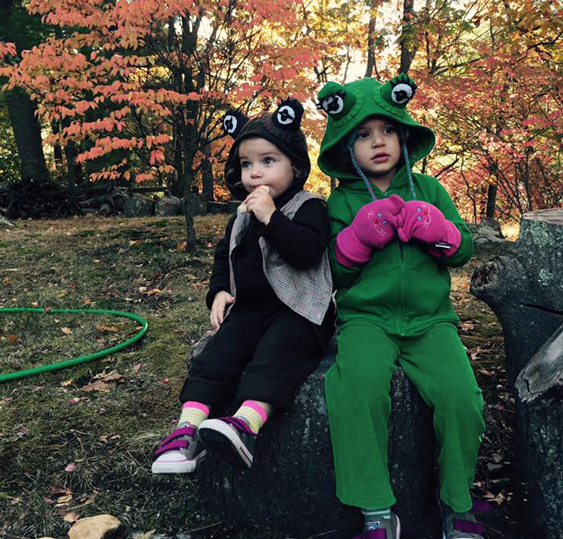 Frog and Toad