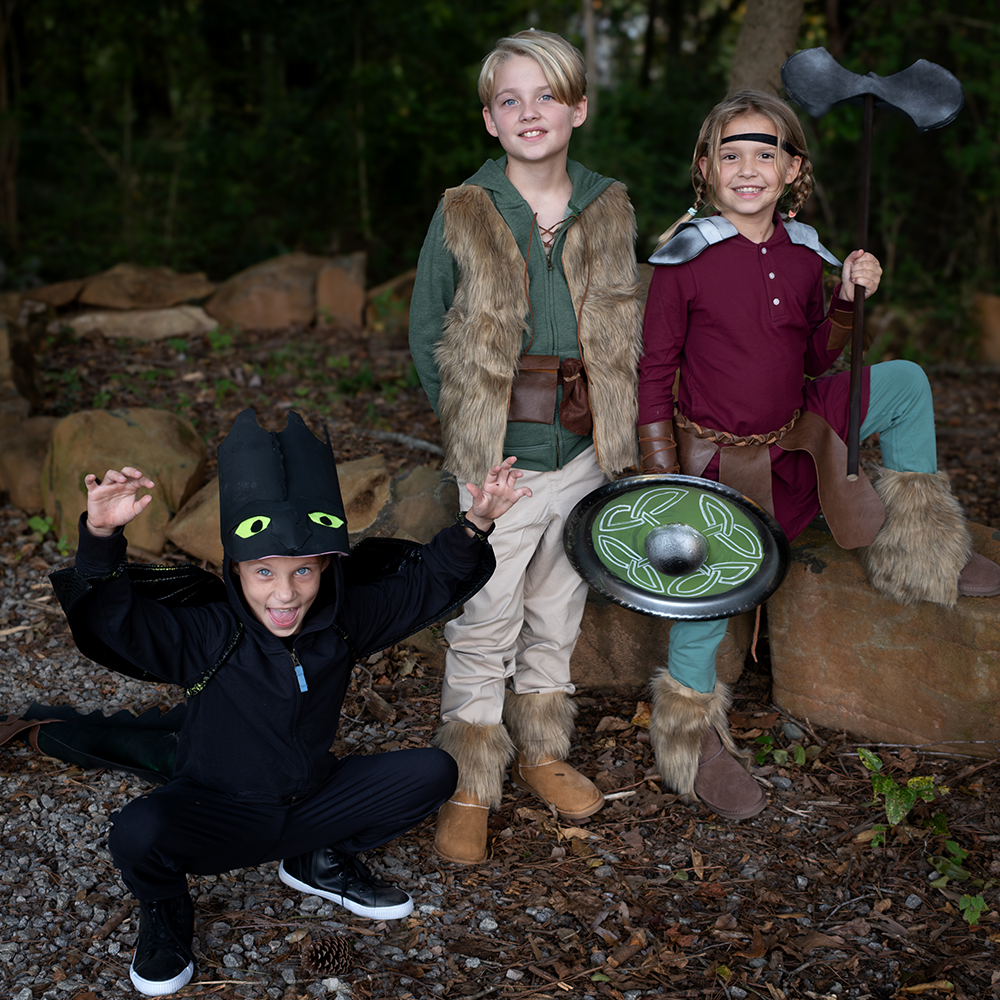 How to Train Your Dragon Group