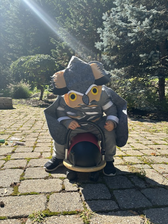 Horned Owl