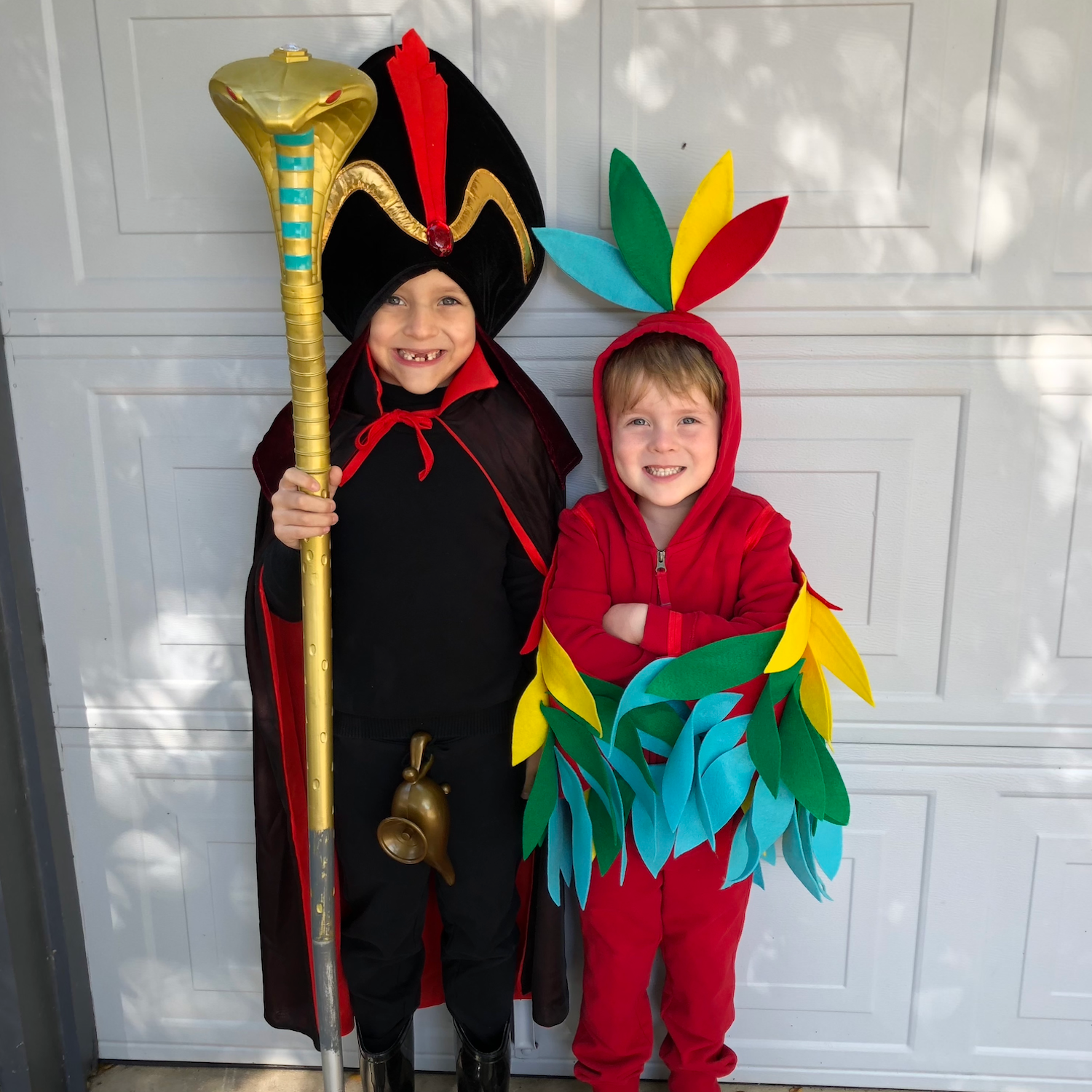 Jafar & Iago (from Aladdin)