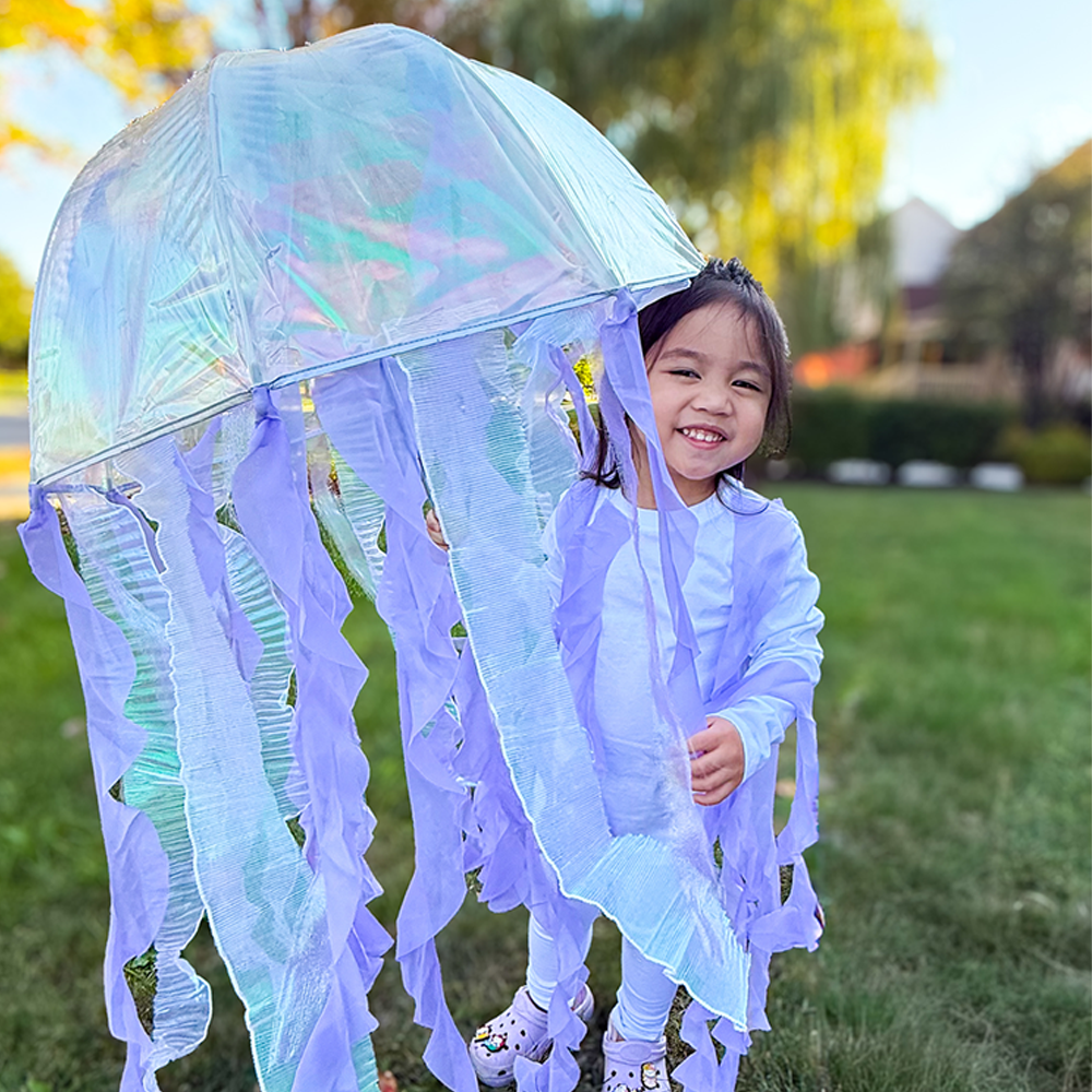 Jellyfish