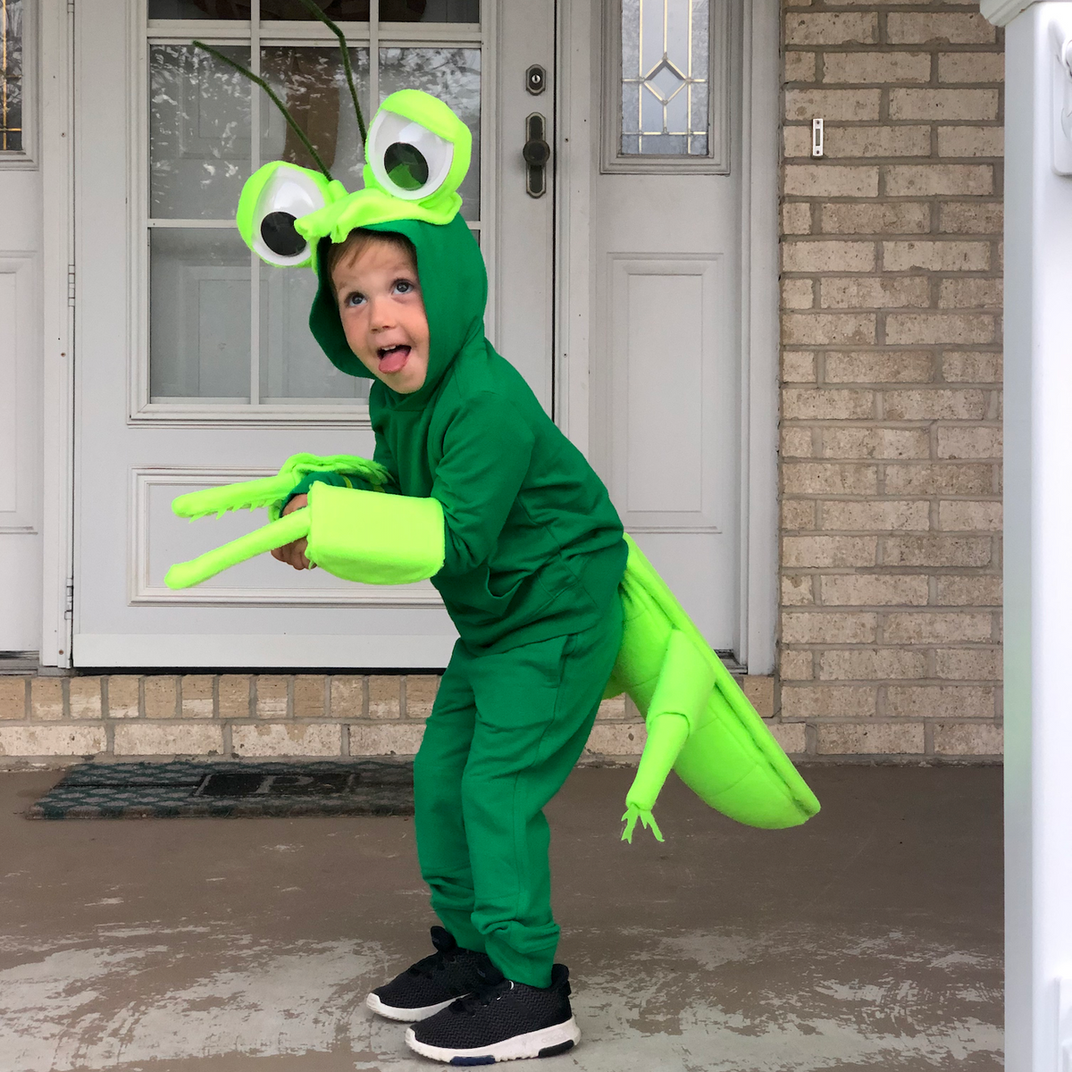 Praying Mantis
