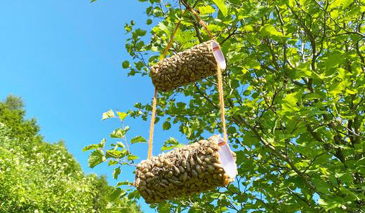 bird feeder in tree image