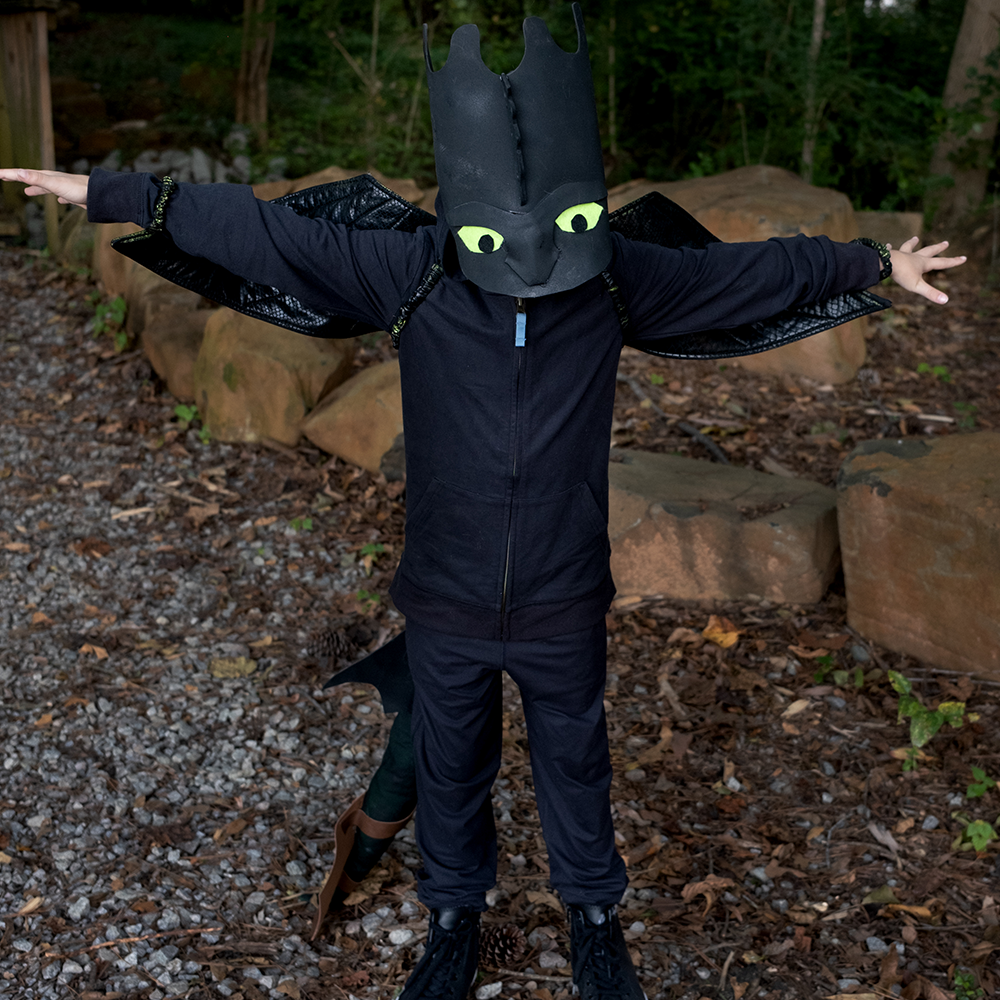 Toothless (How to Train Your Dragon)