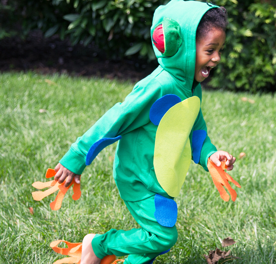 Tree Frog